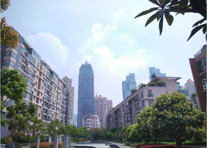 其他住宅